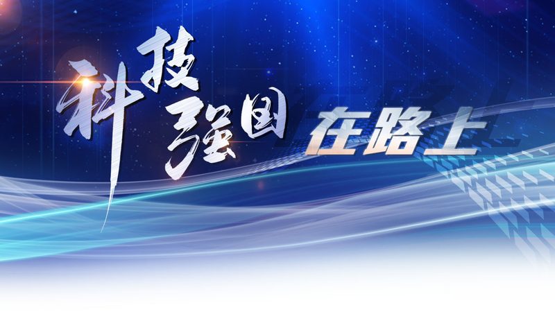 数据可视化表格：如何提升信息传达效率
